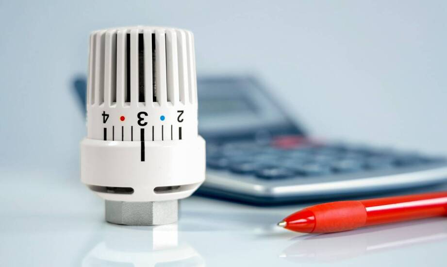 Thymovar – działanie, zastosowanie i rola w ochronie zdrowia pszczół