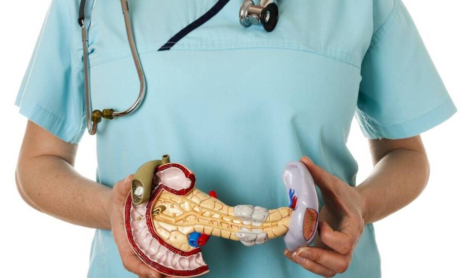 Najczęstsze schorzenia układu pokarmowego i ich objawy – co warto wiedzieć