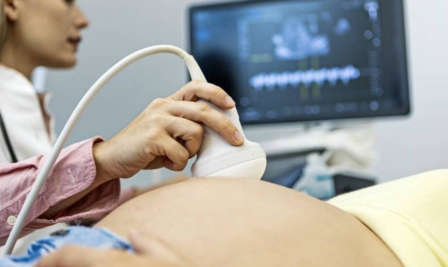 Badanie USG tarczycy – kiedy warto je wykonać i jak przebiega procedura