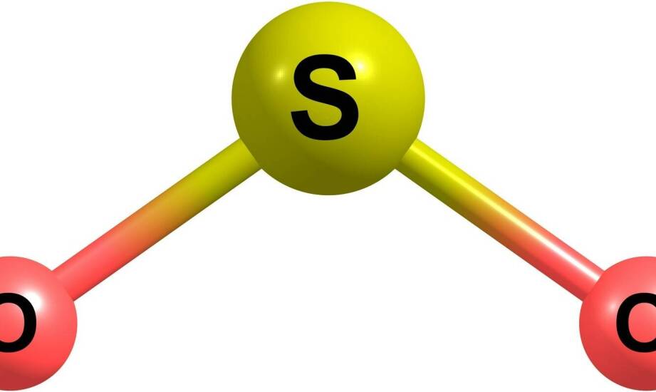 Rola surdologopedy w terapii zaburzeń słuchu i mowy u dzieci oraz dorosłych