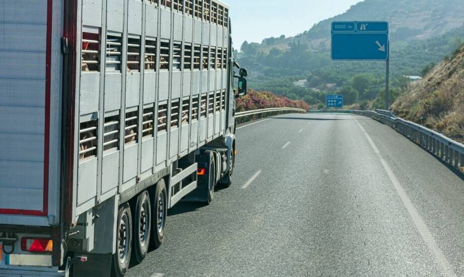 Międzynarodowy transport zmarłych – najważniejsze aspekty i procedury