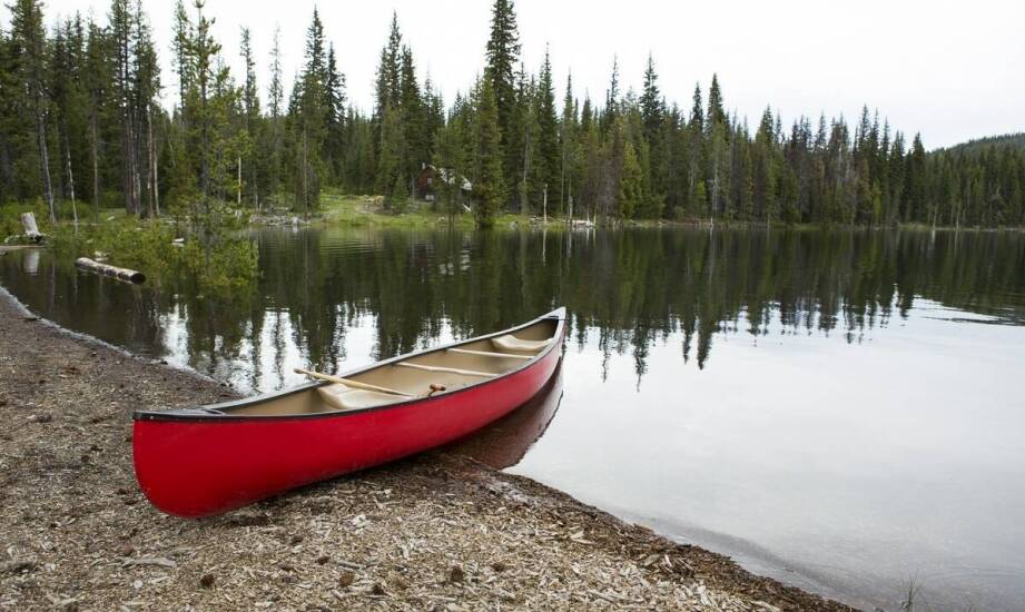 Kajakiem przez Krutynię – wszystko, co warto wiedzieć przed pierwszym spływem