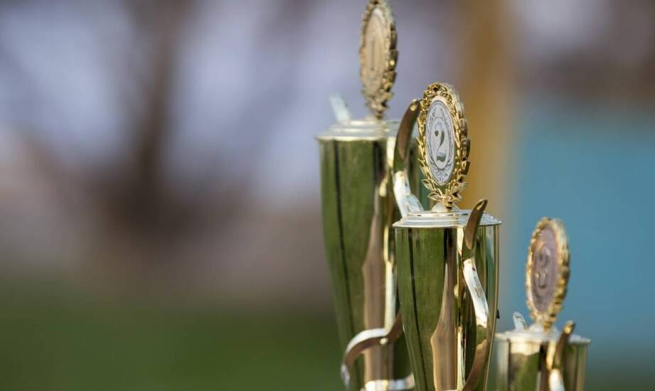 Puchary – jak powstają, jakie materiały dominują i co wpływa na ich wybór