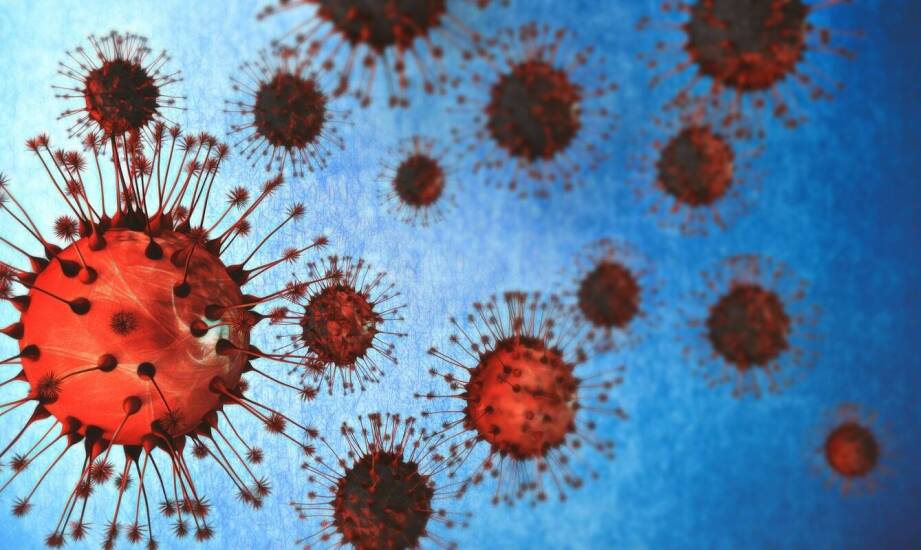 Najskuteczniejsze metody wykrywania i terapii boreliozy – wszystko, co warto wiedzieć