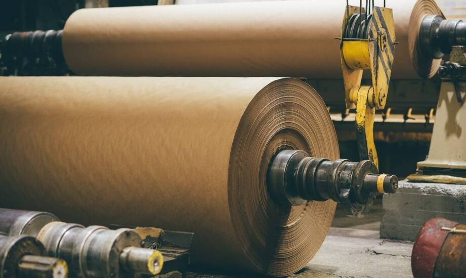 Producent tektury – kluczowe wyzwania, trendy i znaczenie branży papierniczej