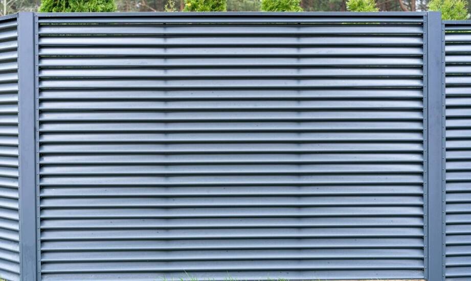 Wybór idealnego kojca dla psa – na co zwrócić uwagę?