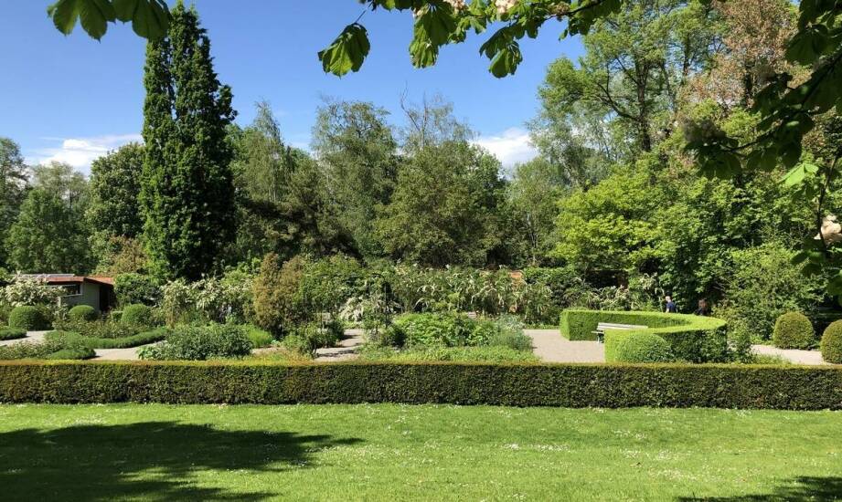 Zastosowanie agregatów w dużych ogrodach i parkach