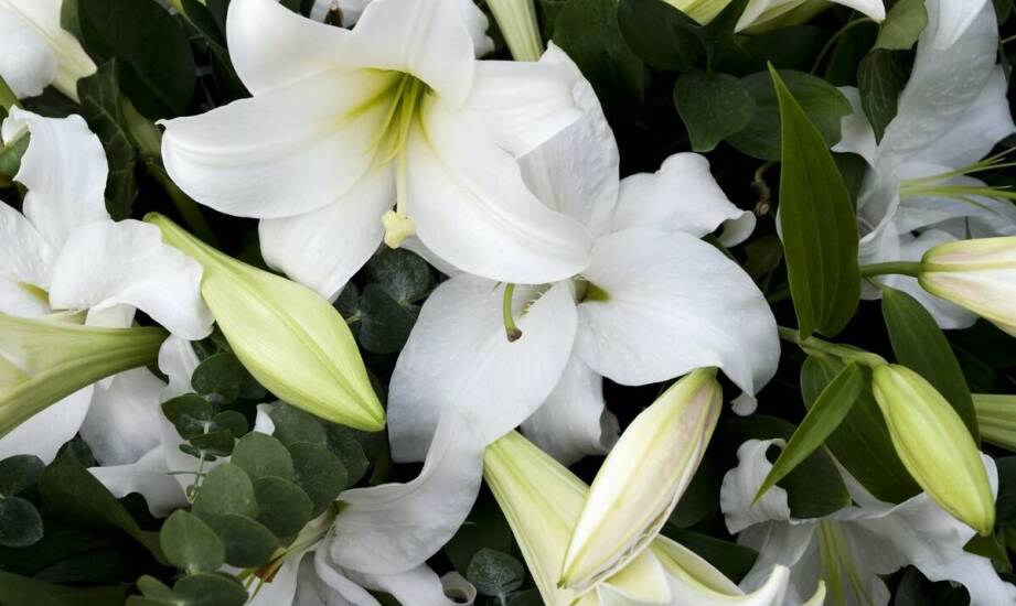 Dlaczego warto korzystać z usług florystycznych zakładu pogrzebowego?