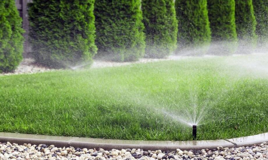 Jakie są kluczowe czynniki w planowaniu harmonogramu nawadniania?