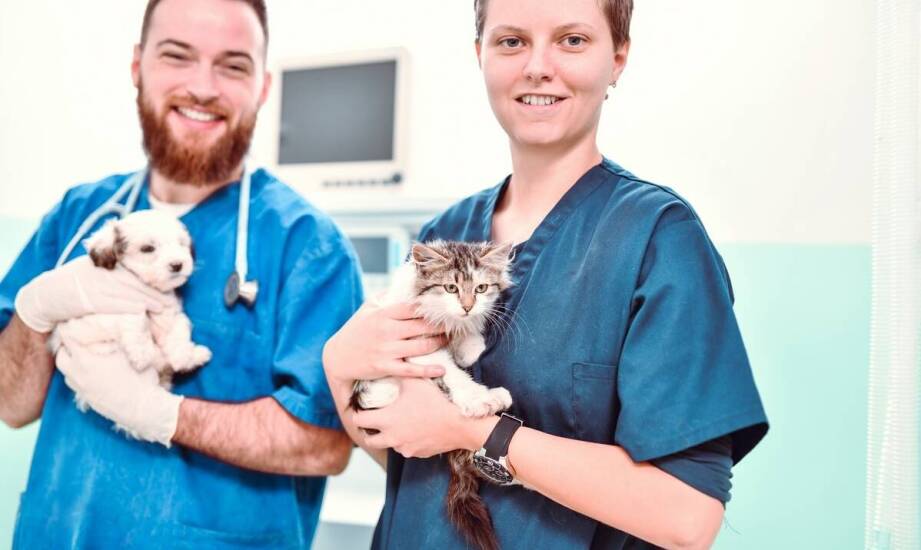 Dlaczego warto rozpocząć naukę w technikum weterynarii w dowolnym momencie?