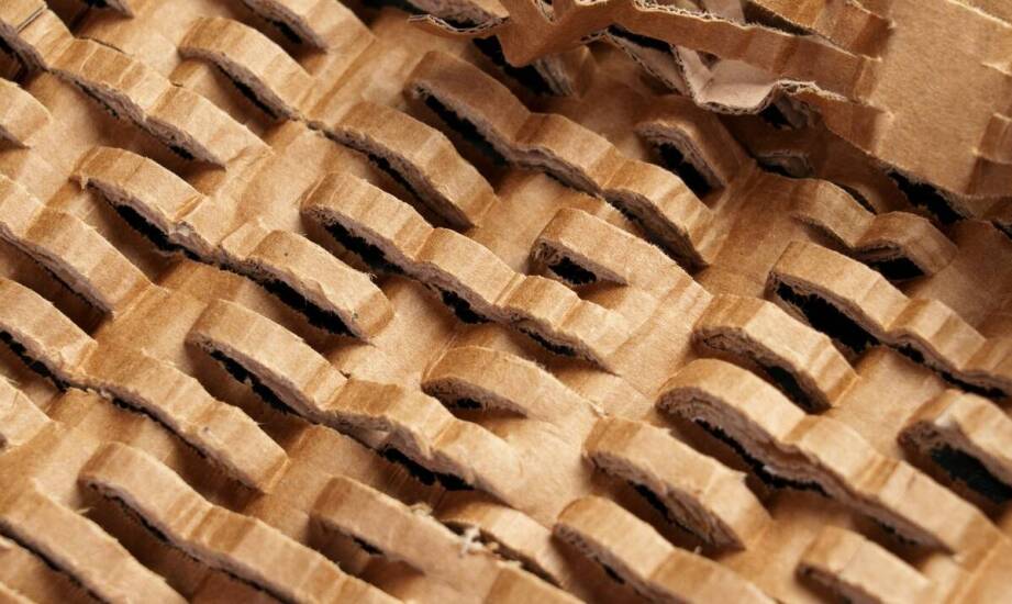 Ekologiczne aspekty produkcji papieru pakowego z nadrukiem - co warto wiedzieć?