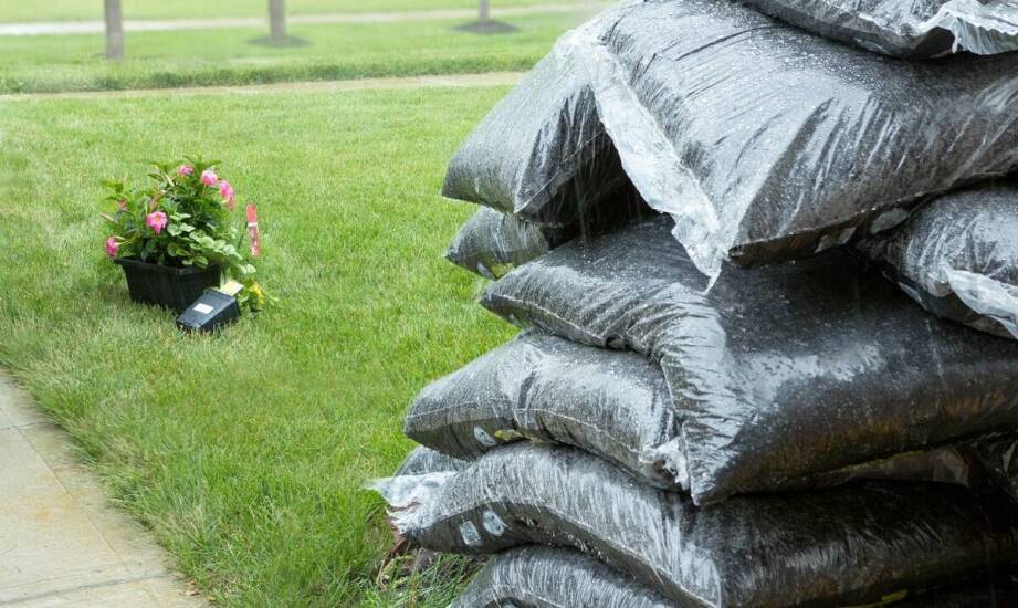 Kluczowe cechy nawozu NPK 10 30 20 w ogrodnictwie