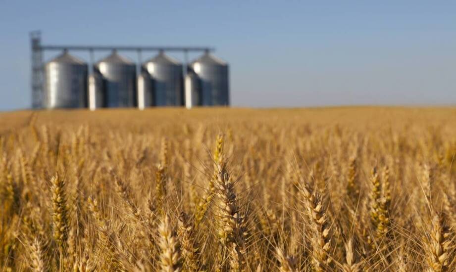 Jakie są kluczowe funkcje suszarni do kukurydzy w dużych gospodarstwach?