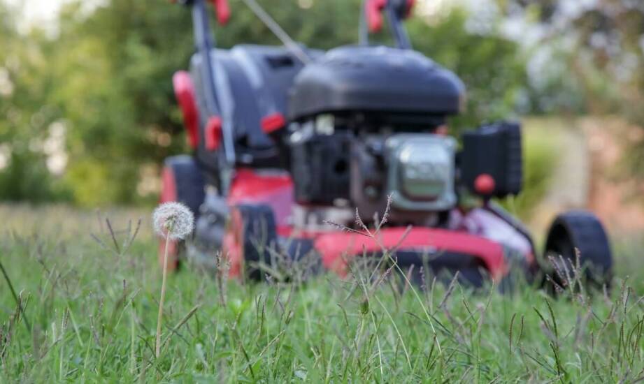 Poradnik: jak dbać o kosiarkę Honda HRX 537 VKE, aby służyła przez lata?
