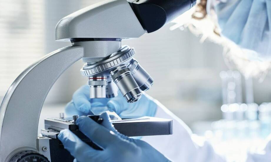 Jak dieta może wspomóc precyzyjne wykrywanie pasożytów w kale?