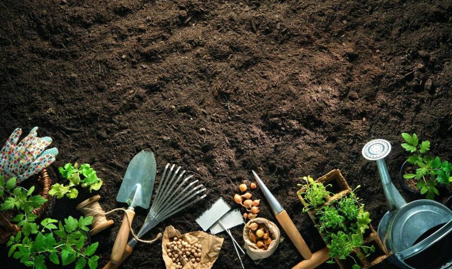 Jak wybrać saperkę do wykopywania znalezisk z wykrywaczem metali?