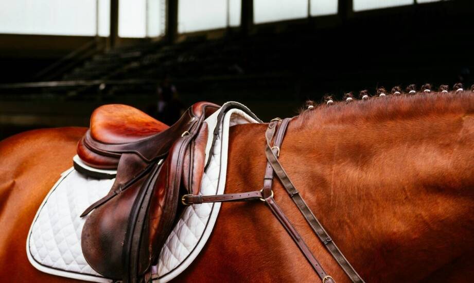 Co powinno się znaleźć w pomieszczeniu do ujeżdżania koni?