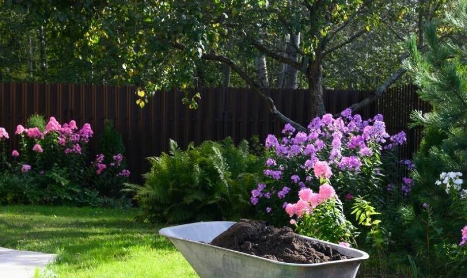 Efektywne nawozy organiczne: jak wspierają wzrost roślin?