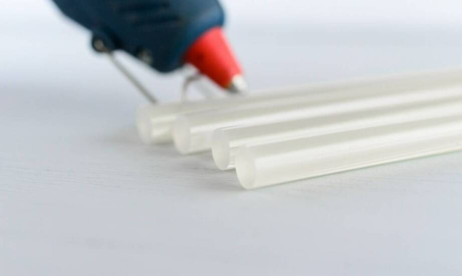 Jakie podpórki wybrać dla większych okazów kaktusowatych?