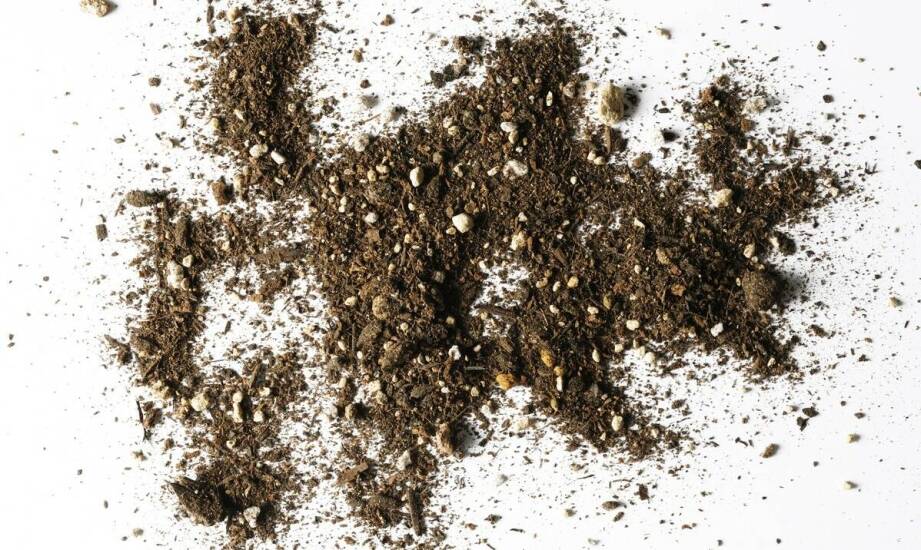 Wpływ właściwego zarządzania glebą na jej żyzność