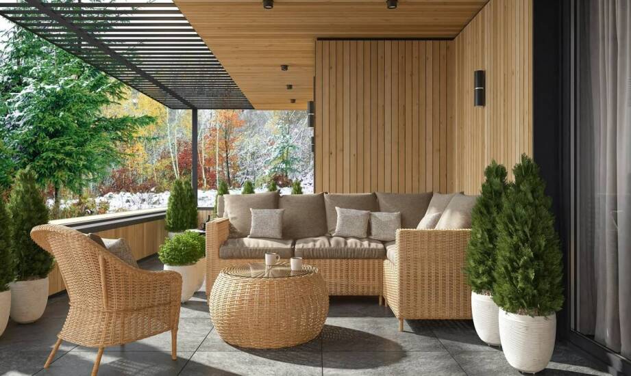 Drzewka owocowe jako dekoracja tarasu – na co zwrócić uwagę?