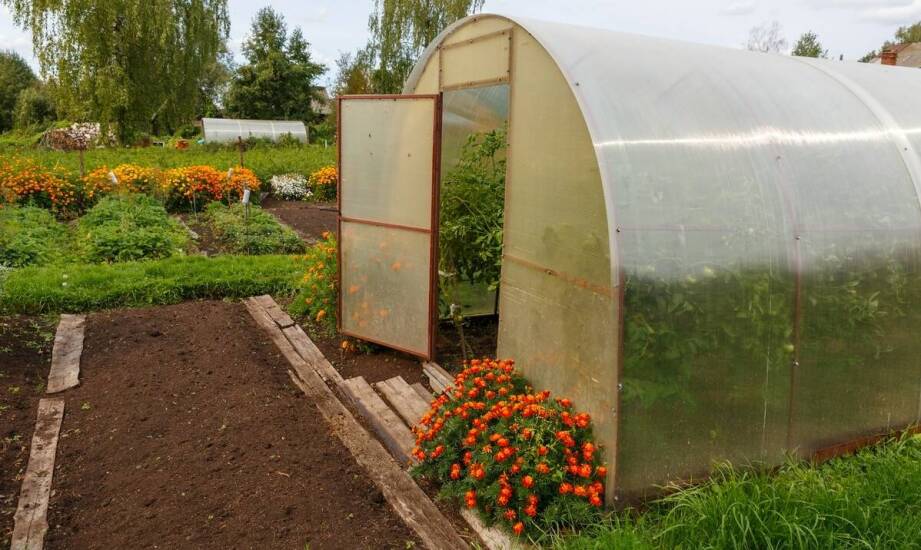 Zastosowanie poliwęglanu komorowego UV w konstrukcjach szklarniowych