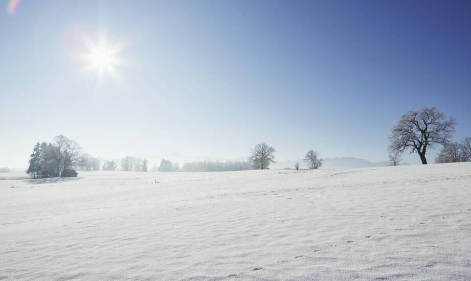 Derka magnetyczna – klucz do lepszego samopoczucia koni w zimowym sezonie