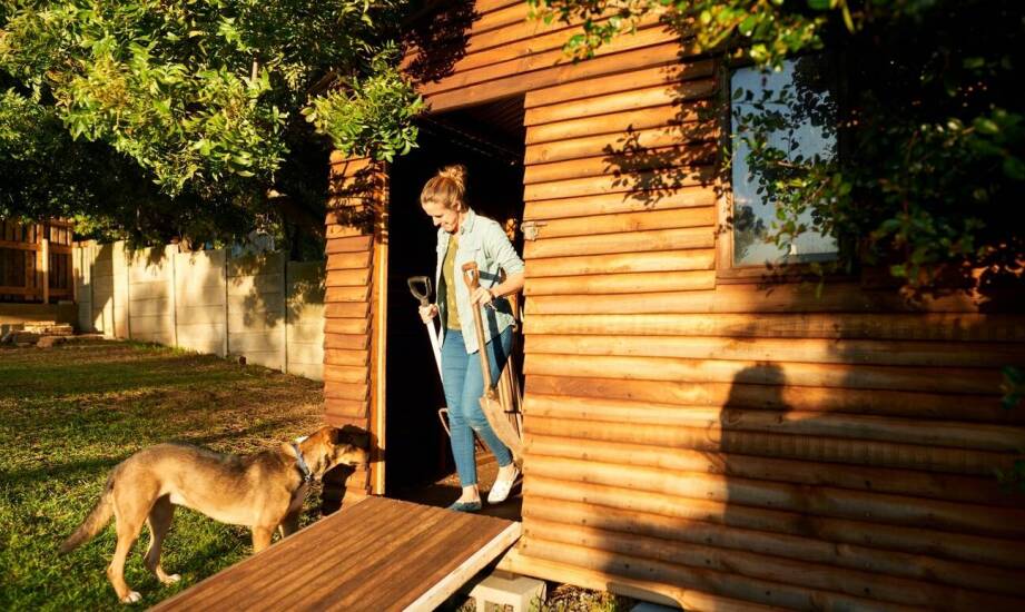 Innowacyjne projekty kojców dla psów – jakie są aktualne trendy?