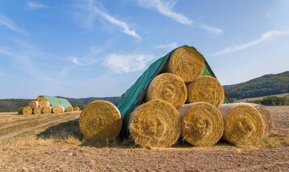 Jak małe worki na piasek mogą wspierać działania w branży rolniczej?