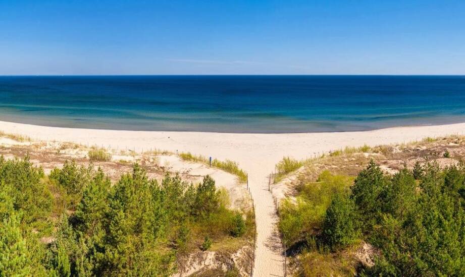 Organizacja eventów firmowych nad morzem – dlaczego Wyspa Sobieszewska to dobry wybór?