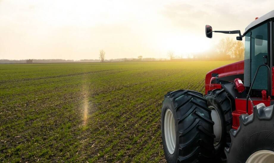 Przewaga kredy nawozowej big bag nad innymi formami nawożenia