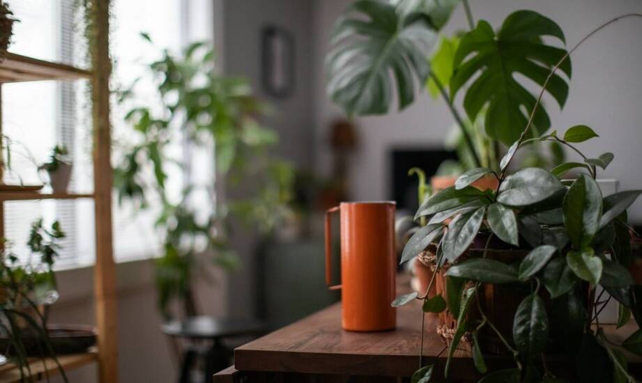 Jak montaż miedzianego dozownika na płyn wpływa na funkcjonalność kuchni?