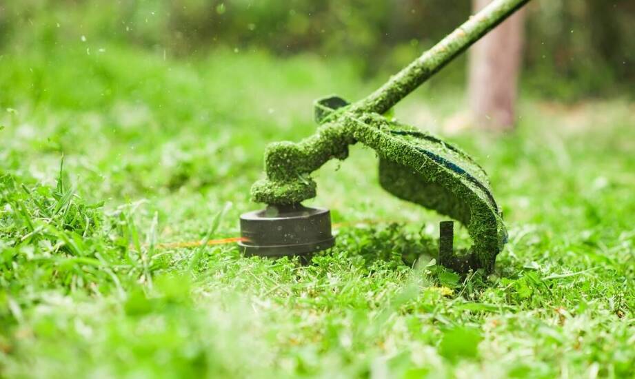 Jak wynajem frezarki do korzeni może ułatwić prace w ogrodzie?