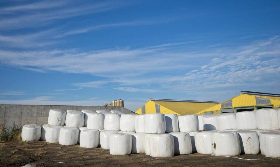 Skuteczna ochrona kiszonki – jakie siatki najlepiej się sprawdzą?