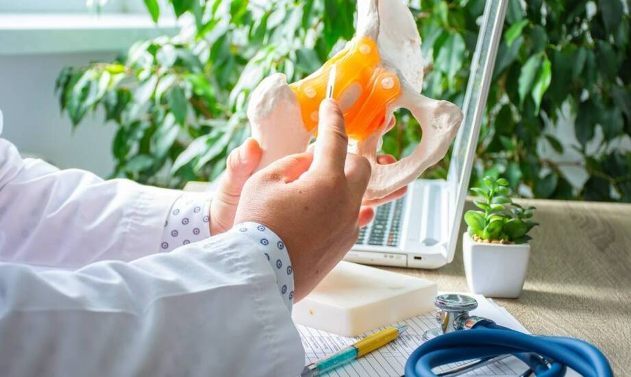 Skeletin a poprawa elastyczności stawów – co mówi nauka?