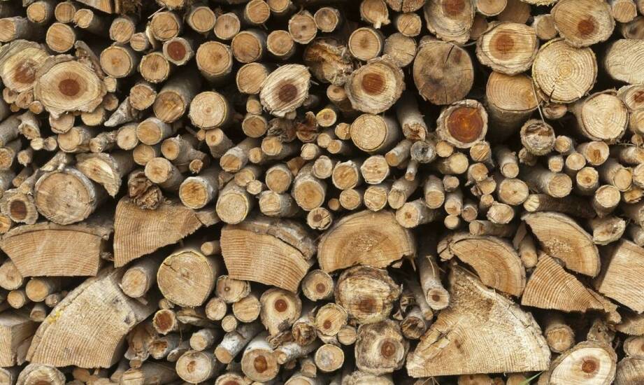 Przewaga lokalnych dostawców drewna kominkowego – zalety i wady
