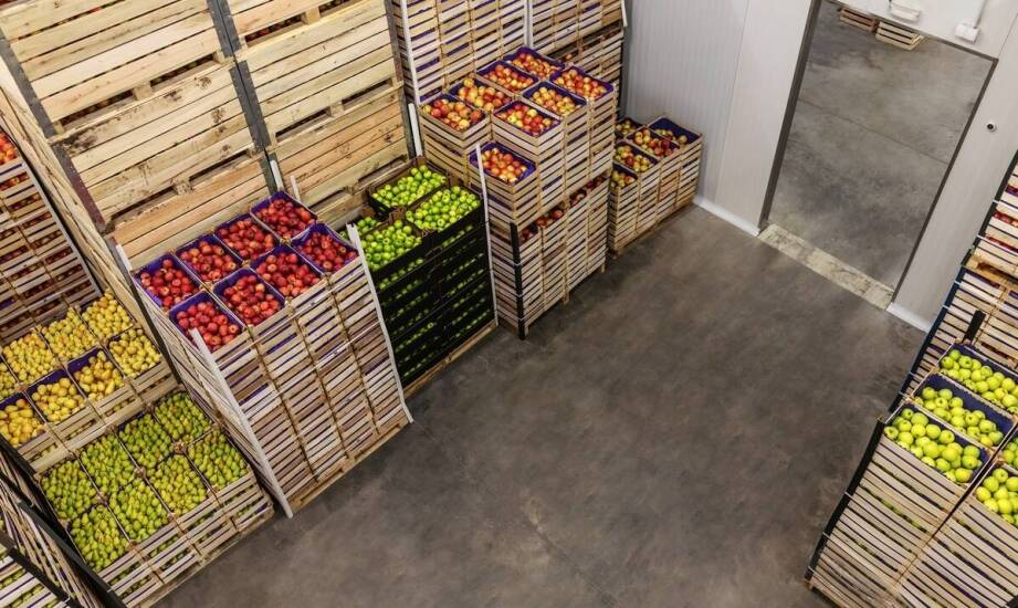 Jakie są najlepsze praktyki przechowywania nasion warzyw w hurtowniach?