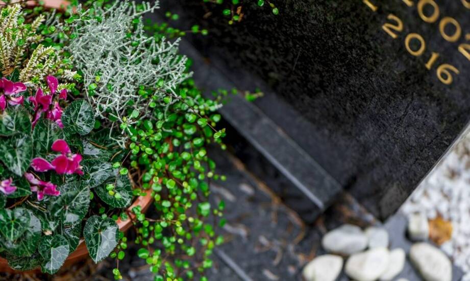 Cmentarze dla zwierząt jako miejsce wsparcia w procesie żałoby