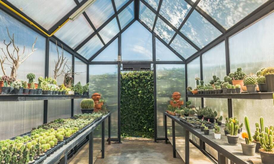 Wykorzystanie wiat ocieplanych w różnych warunkach klimatycznych