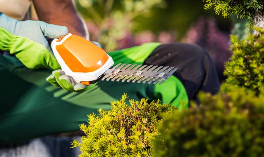 Jak serwis Stihl w Stargardzie wpływa na trwałość narzędzi ogrodowych?