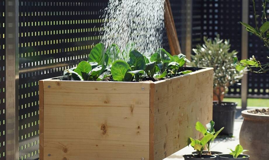 Dlaczego warto wybrać skrzynki balkonowe 50 cm do uprawy roślin?