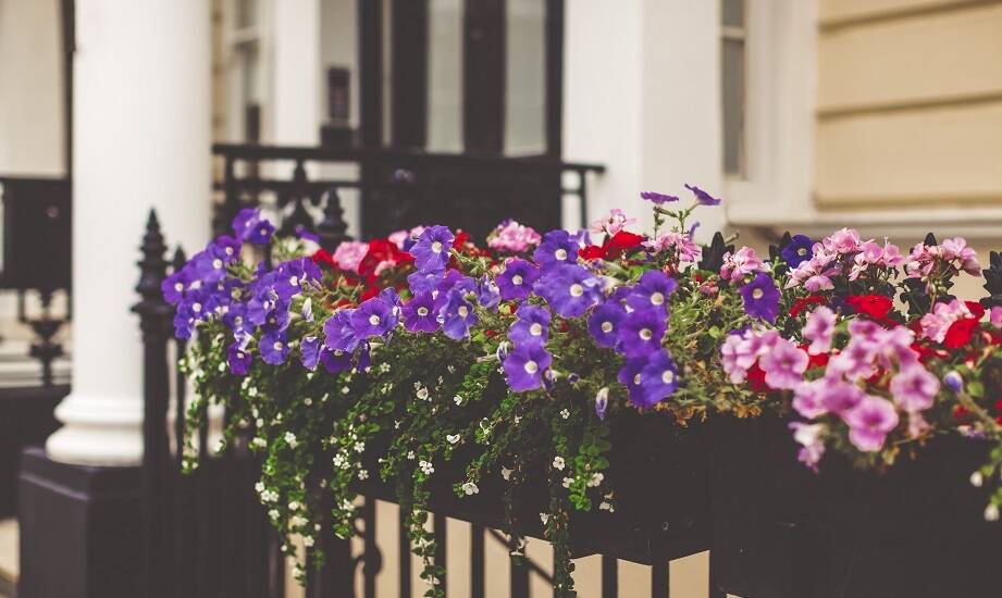 Jak skrzynki balkonowe z nawadnianiem wspierają rozwój roślin?