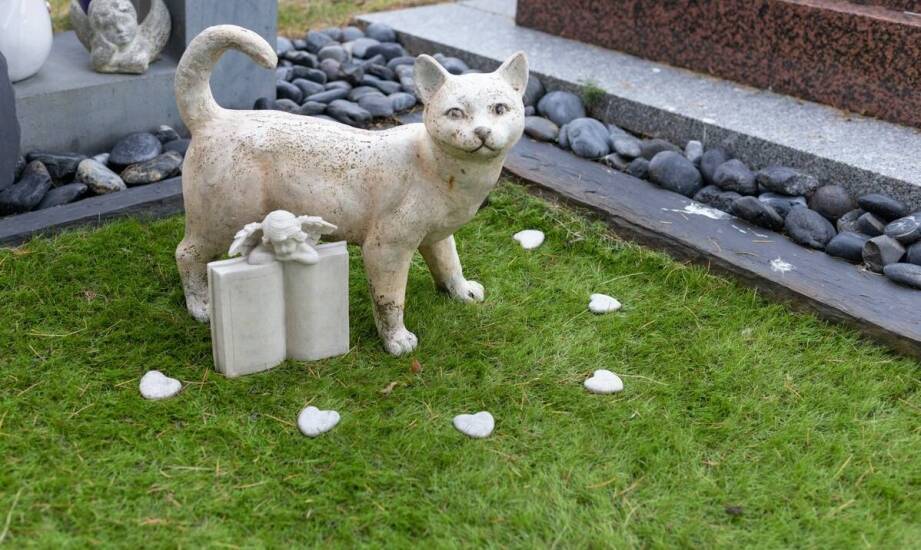 Ekologiczne korzyści z wyboru kremacji zwierząt