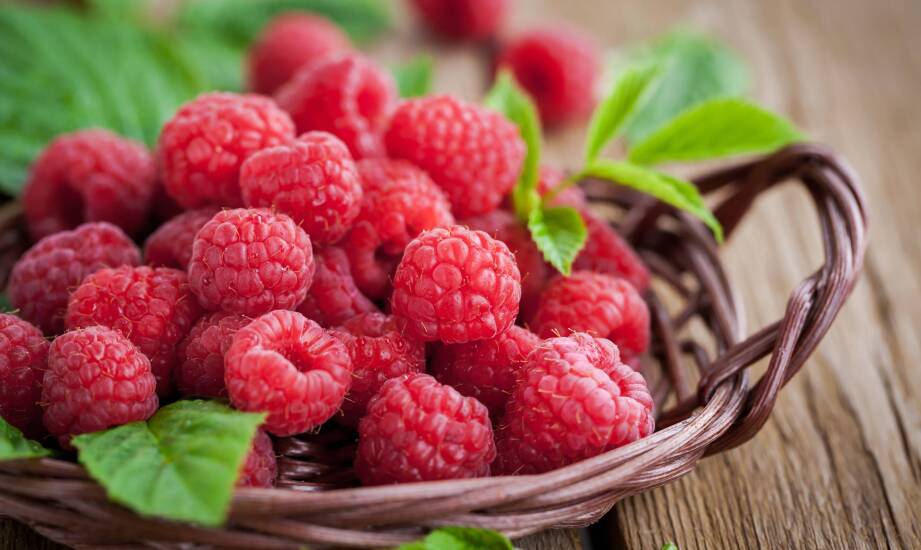 Kiedy trwa szczyt sezonu i jak wybierać jędrne maliny?