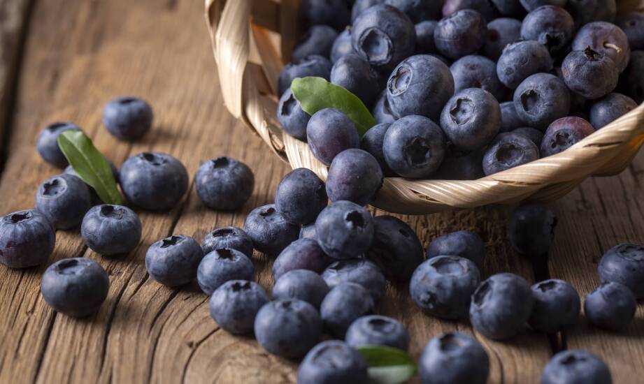Gdzie kupić świeże borówki prosto od producentów?