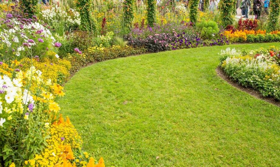 Jakie są najnowsze trendy w uprawach mieszanek traw?