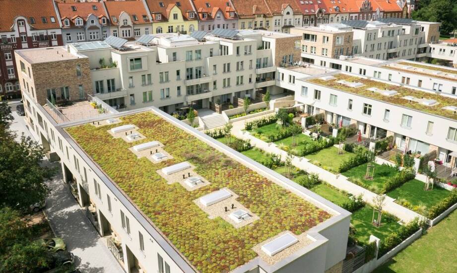 Jak zielone dachy wspierają lokalne inicjatywy ekologiczne?