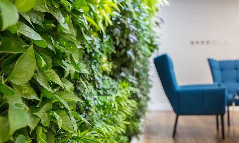 Zielona architektura – jak mobilne ściany zielone wpisują się w trendy ekologiczne?