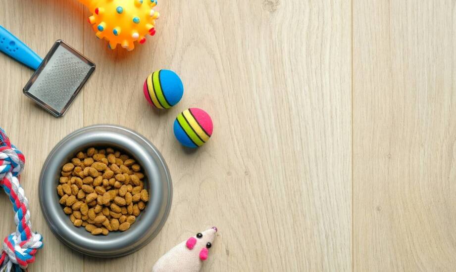 Rola tłuszczów w diecie shih tzu – na co zwrócić uwagę?