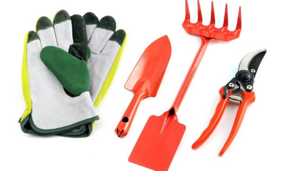 Jakie narzędzia pomogą w pielęgnacji trawnika?